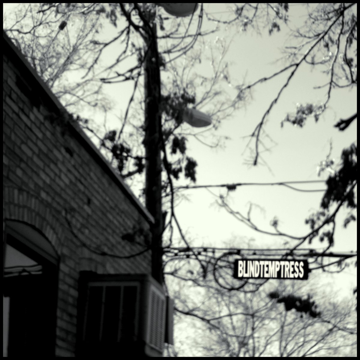 Milk & Molasses — Blind Temptress cover art